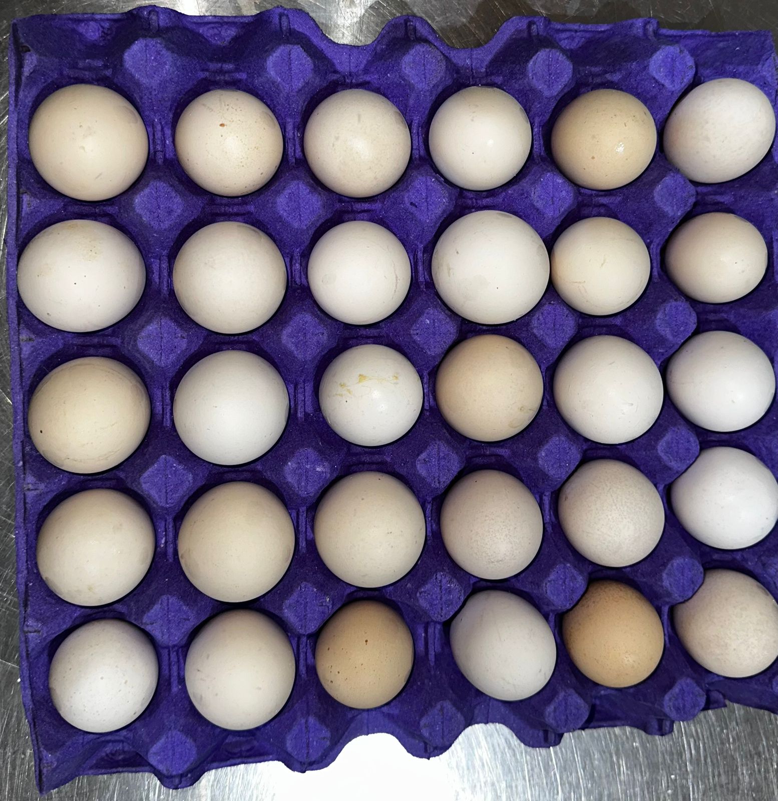 Chicken Thighs