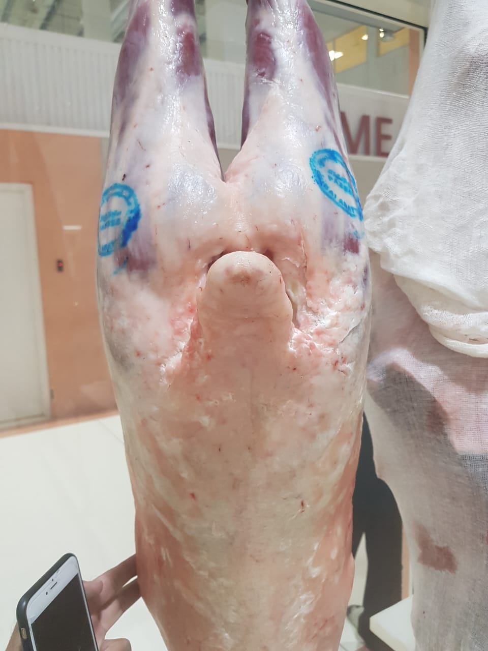 Australian Lamb