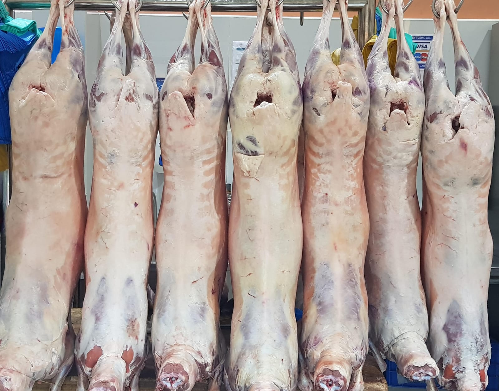Kenya Lamb