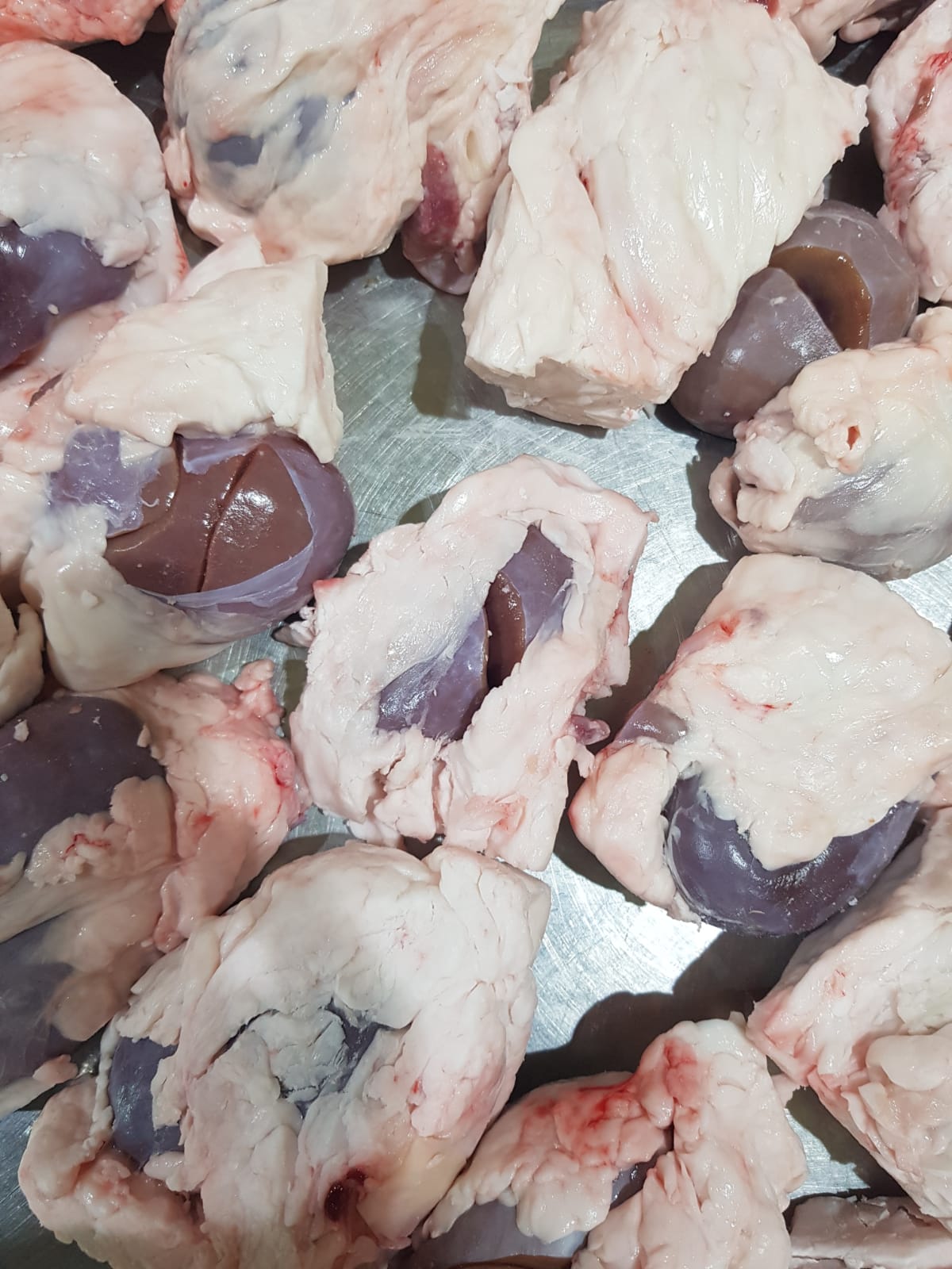 Fresh Kidney